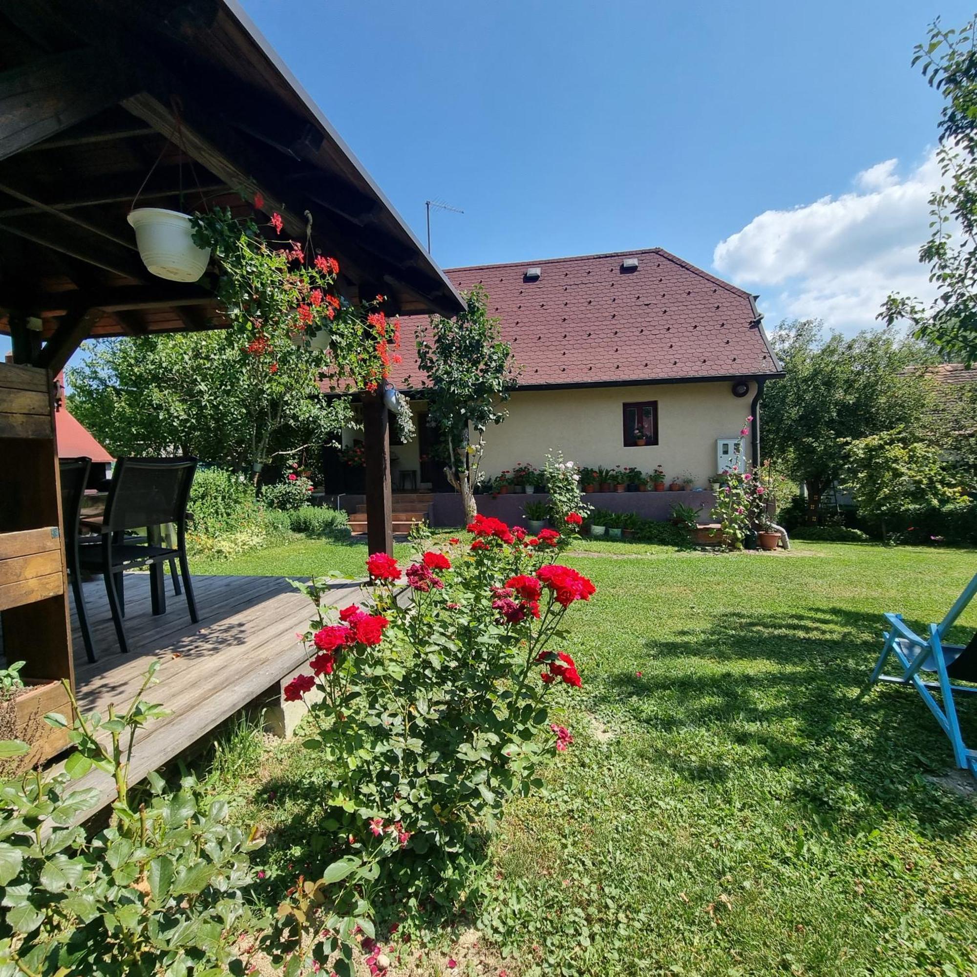 Kuca Za Odmor Bajtica Villa Jesenovec Exterior photo