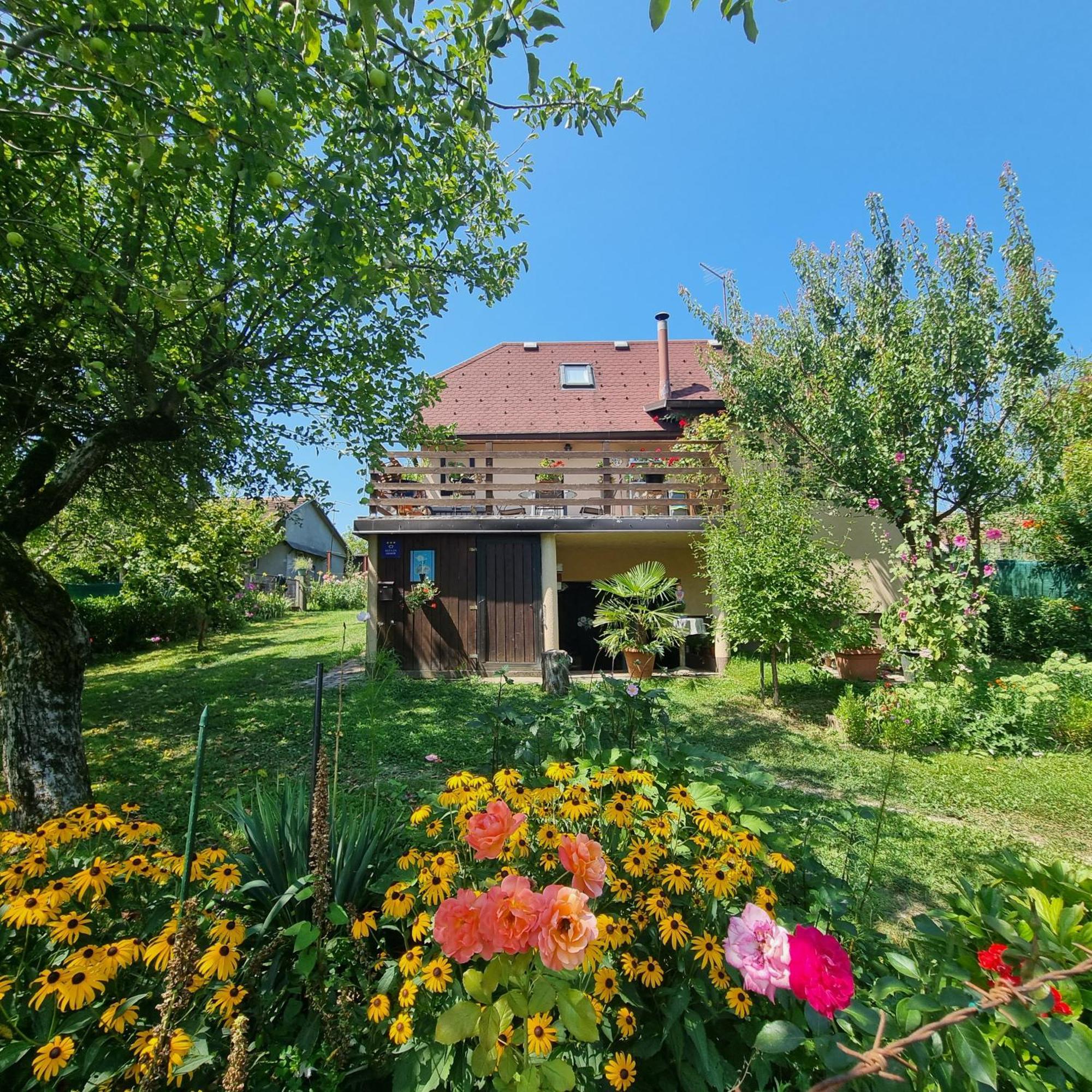 Kuca Za Odmor Bajtica Villa Jesenovec Exterior photo